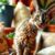 Cornish rex: charakter, wymagania i najważniejsze kwestie zdrowotne rasy